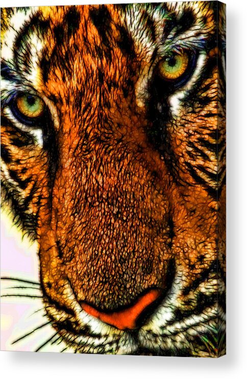 Tiger Acrylic Print featuring the photograph Just Face It by Joetta West