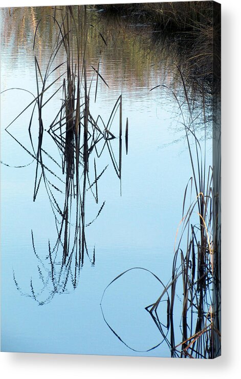 Water Acrylic Print featuring the photograph Nature's Art by I'ina Van Lawick