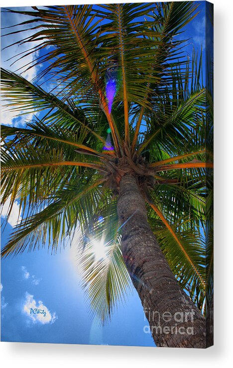 Palm Acrylic Print featuring the photograph Palms Up by Patrick Witz
