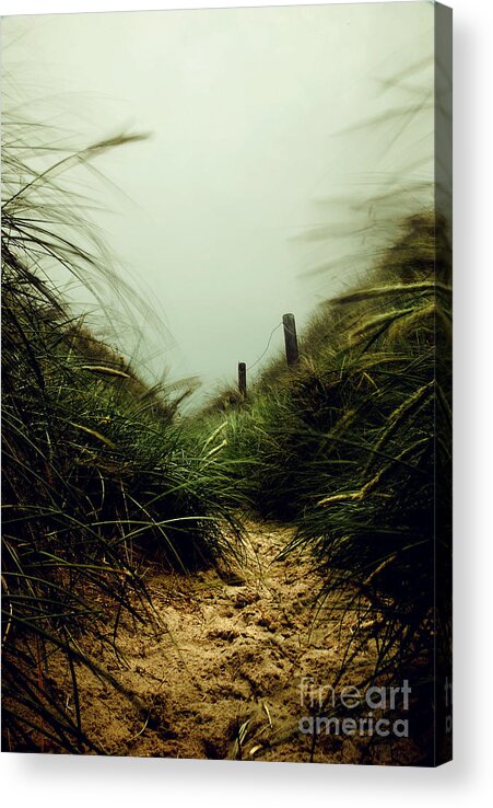 Seascape Acrylic Print featuring the photograph Path Through The Dunes by Hannes Cmarits