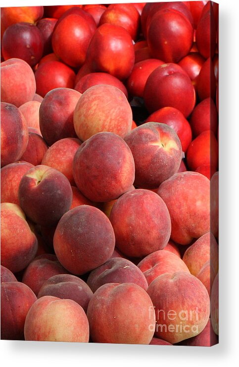 Peaches Acrylic Print featuring the photograph Peaches and Nectarines by Carol Groenen