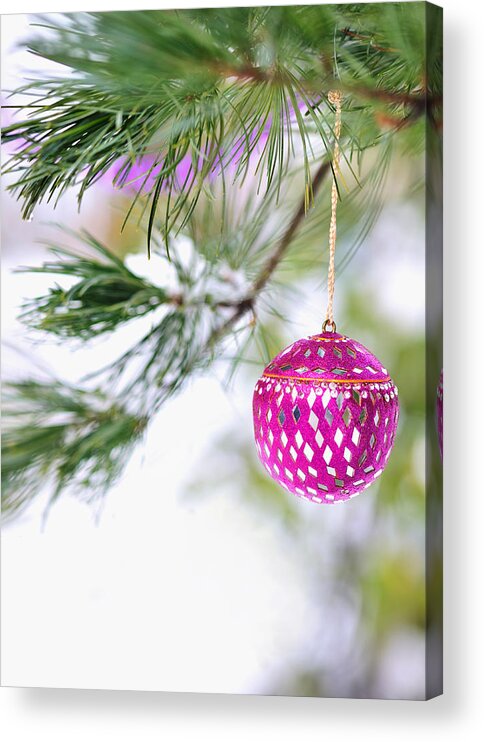 Christmas Acrylic Print featuring the photograph Pink Christmas ornament on snowy pine tree branch by Marianne Campolongo
