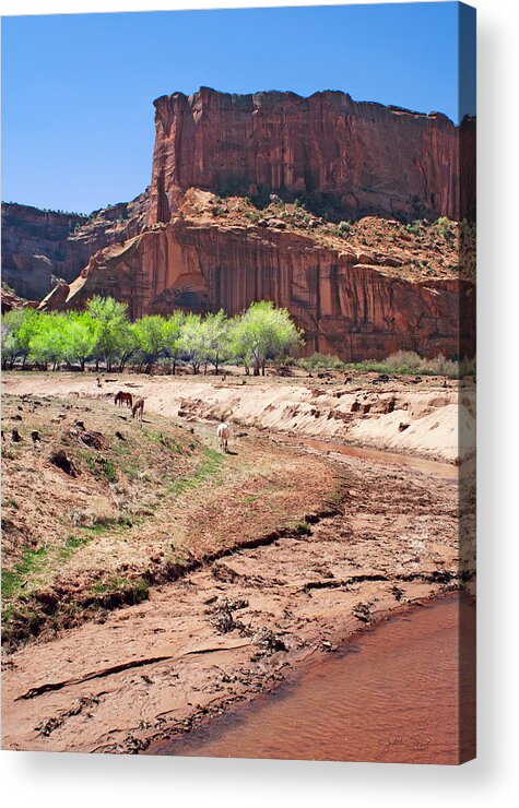 Southwest Acrylic Print featuring the photograph Red Country by Julie Magers Soulen
