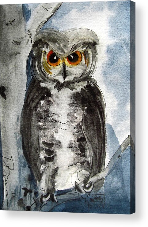 Owl Acrylic Print featuring the painting Rocky Mountain Owl by Dawn Derman