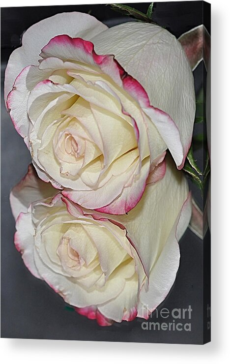 Rose. Reflection Acrylic Print featuring the photograph Rose Reflection by Marianne Troia