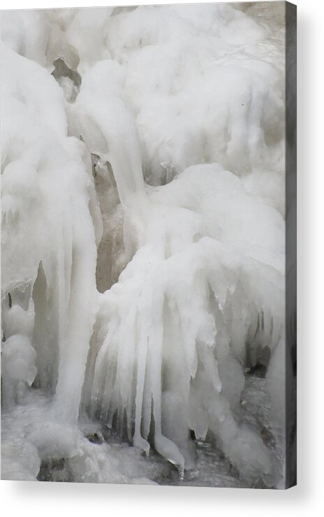 Ice Acrylic Print featuring the photograph Snow Bird by Azthet Photography