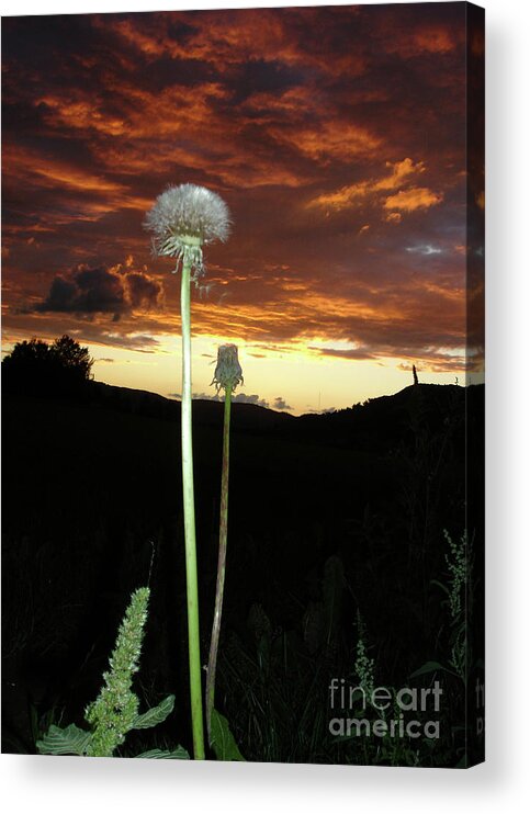 Sundown Acrylic Print featuring the photograph Uncanny Clouds by Bruno Santoro