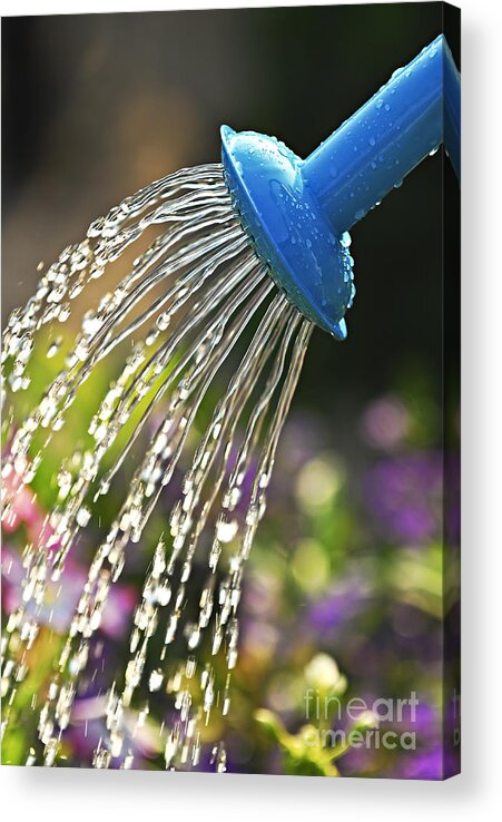Water Acrylic Print featuring the photograph Watering flowers by Elena Elisseeva