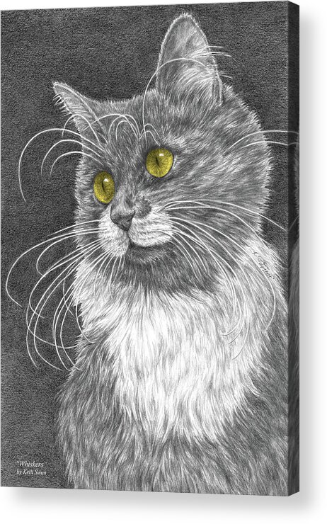 Cat Acrylic Print featuring the drawing Whiskers - Color Tinted Art Print by Kelli Swan