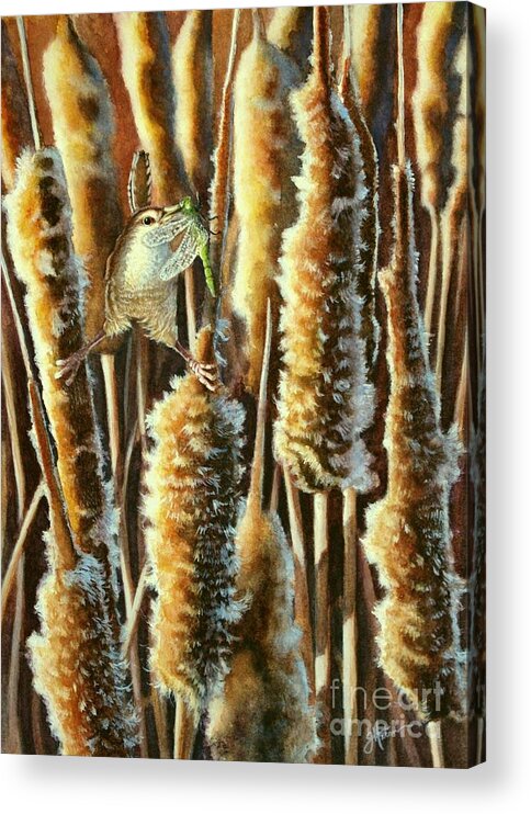 Wren Acrylic Print featuring the painting Wren and Cattails 2 by Greg and Linda Halom
