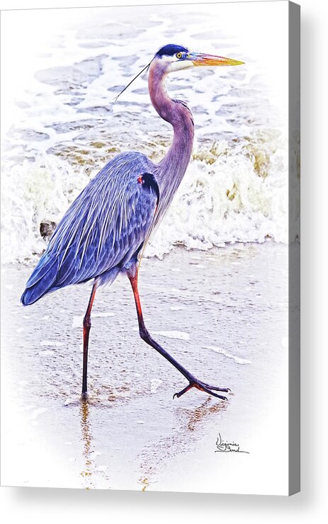 Ocean Acrylic Print featuring the painting Beach Walker #2 by Virginia Bond