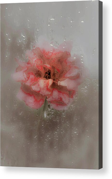 Rain Acrylic Print featuring the photograph Behind the Glass #1 by Abbie Loyd Kern