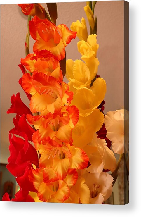 Flowers Acrylic Print featuring the photograph Gladiolas #1 by Farol Tomson