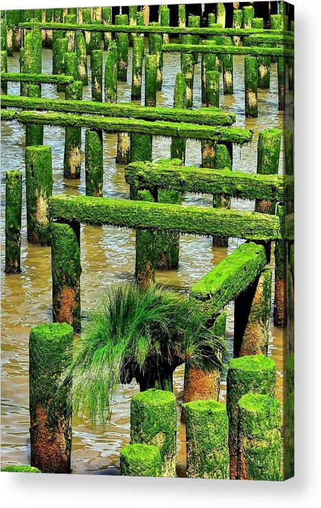 Astoria Acrylic Print featuring the photograph Pilings And Sea Grass by Jerry Sodorff