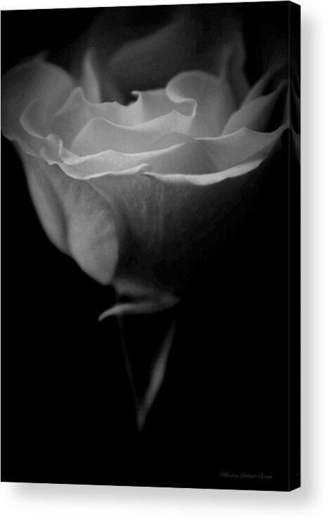  Acrylic Print featuring the photograph Sweet Sadness... #1 by The Art Of Marilyn Ridoutt-Greene