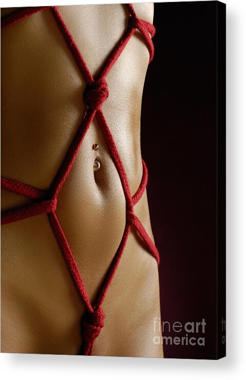 Bondage Acrylic Print featuring the photograph Closeup of a Stomach with Decorative Rope Bondage Shibari by Maxim Images Exquisite Prints
