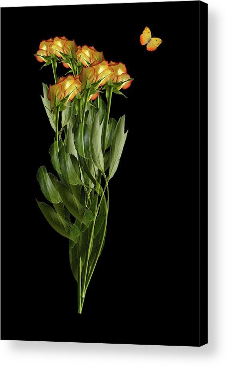 Floral Acrylic Print featuring the photograph 4231 by Peter Holme III