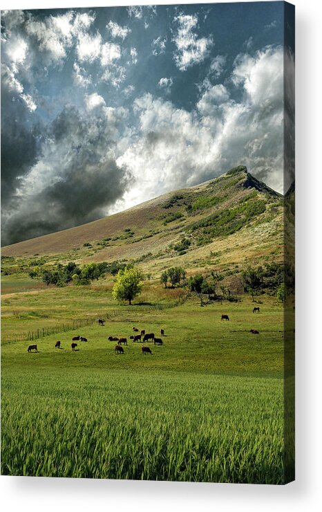 Mountains Acrylic Print featuring the photograph 4235 by Peter Holme III
