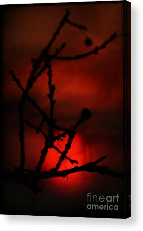 Sunset Acrylic Print featuring the photograph The Sunset #9 by Ang El