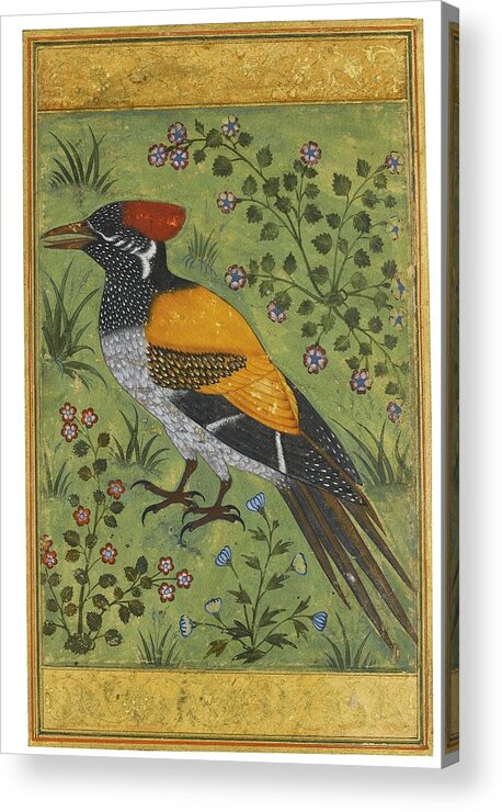 A Yellow-backed Woodpecker Acrylic Print featuring the painting A yellow backed woodpecker by Mughal