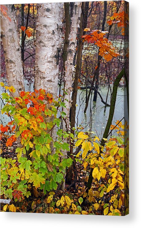 Along The Breezeway In Autumn 2014 Acrylic Print featuring the photograph Along the Breezeway in Autumn 2014 by Kris Rasmusson