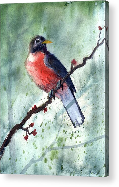 Bird Acrylic Print featuring the painting American Robin by Sean Seal