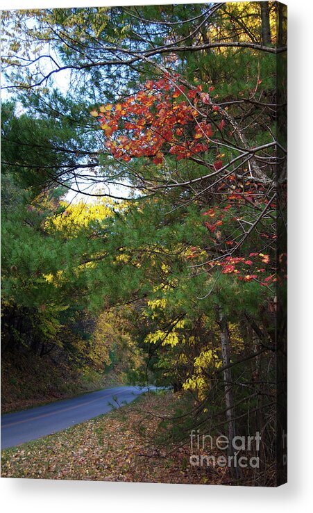 Scenic Acrylic Print featuring the photograph An Autumn Road by Skip Willits