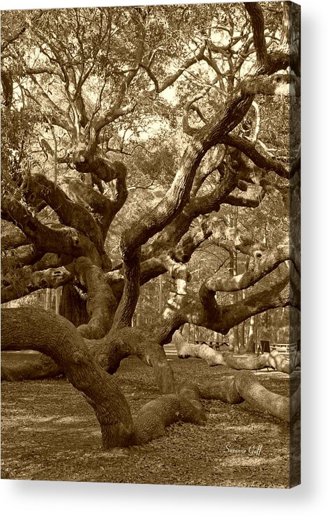 Sepia Acrylic Print featuring the photograph Angel Oak in Sepia by Suzanne Gaff
