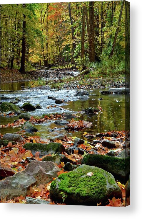 Autumn Acrylic Print featuring the photograph Autumn Cleveland Ohio Stream by Frozen in Time Fine Art Photography