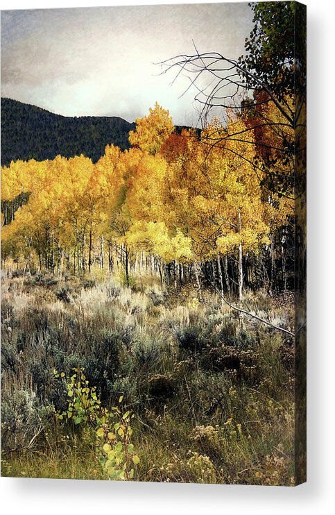 Autumn Acrylic Print featuring the photograph Autumn Hike by Jim Hill