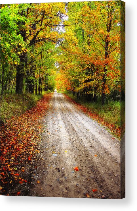 Woods Acrylic Print featuring the photograph Autumn Road by Peg Runyan