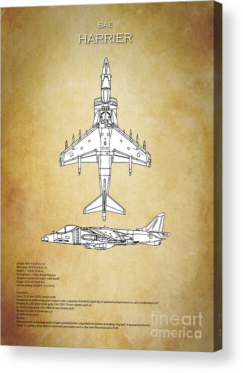 Blueprints > Modern airplanes > BAe > BAe Harrier GR.7