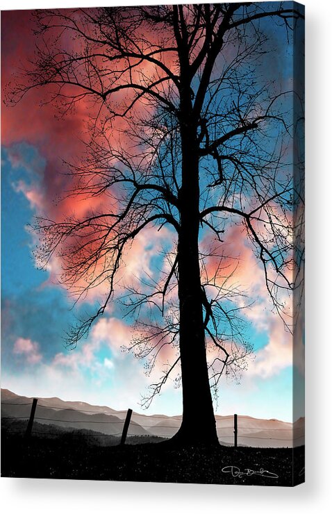 Tree Acrylic Print featuring the photograph Bare Tree Branches In Silhouette by Dan Barba