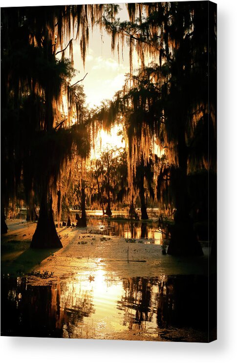 Fire Acrylic Print featuring the photograph Bayou Fire by Nicholas Blackwell