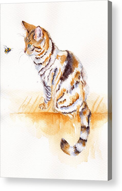 Cats Acrylic Print featuring the painting Bee Staring by Debra Hall