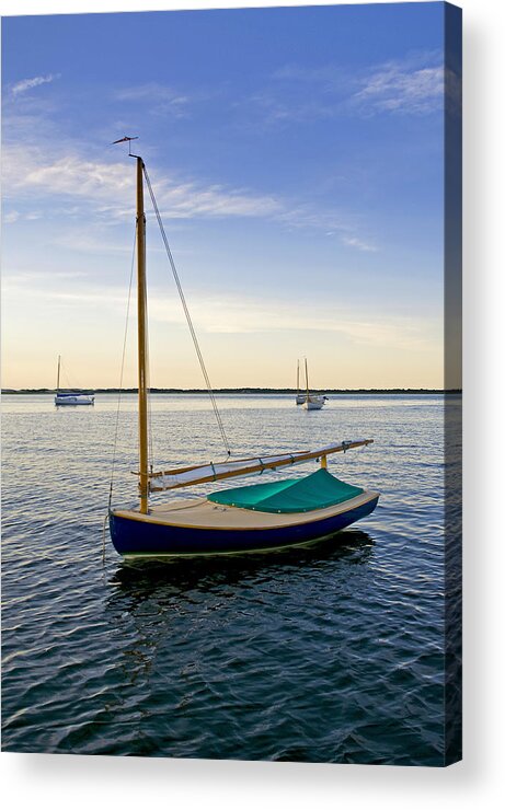 Fisher Cat Acrylic Print featuring the photograph Fisher Cat in Barnstable Harbor by Charles Harden