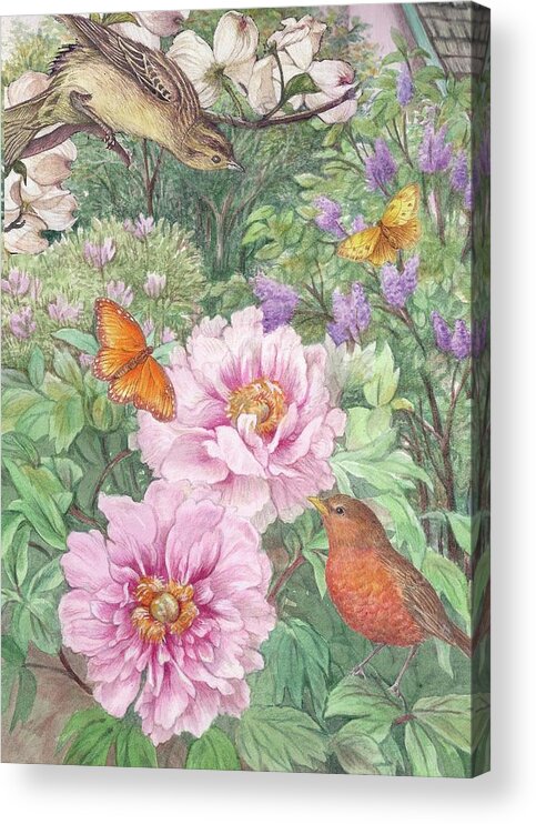 Illustrated Peony Acrylic Print featuring the painting Birds Peony Garden Illustration by Judith Cheng
