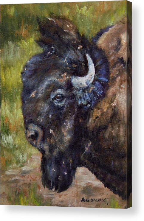 Lori Brackett Acrylic Print featuring the painting Bison Study 5 by Lori Brackett