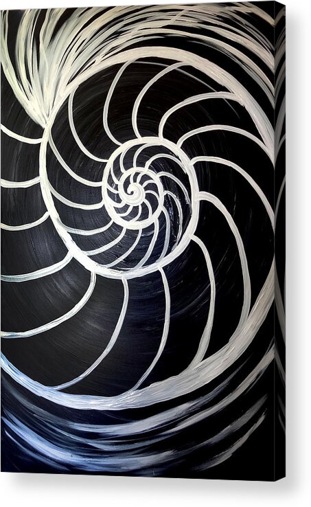 Black Acrylic Print featuring the painting Black and White Nautilus Spiral by Michelle Pier