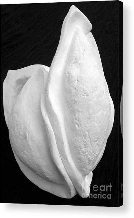 Plaster Acrylic Print featuring the sculpture Bleached Husk by Xoey HAWK