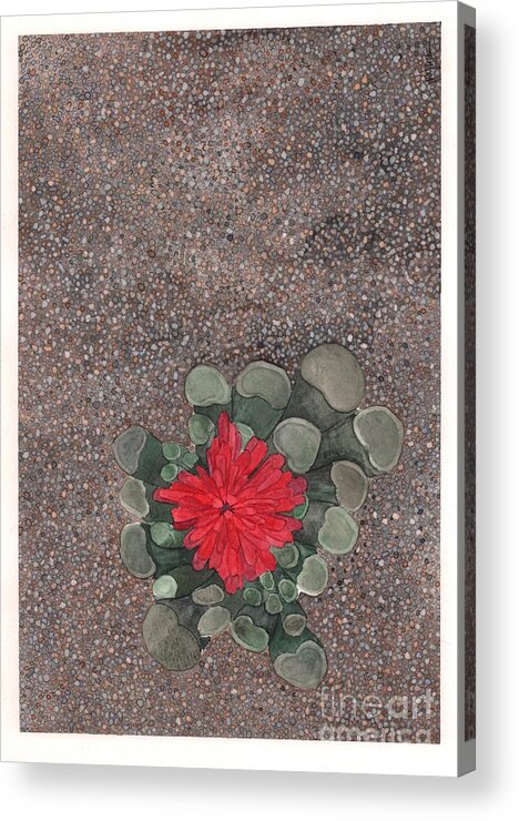 Succulent Acrylic Print featuring the painting Blooming Succulent by Hilda Wagner