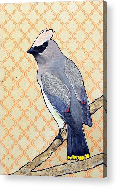 Waxwing Acrylic Print featuring the painting Bradley by Jacqueline Bevan