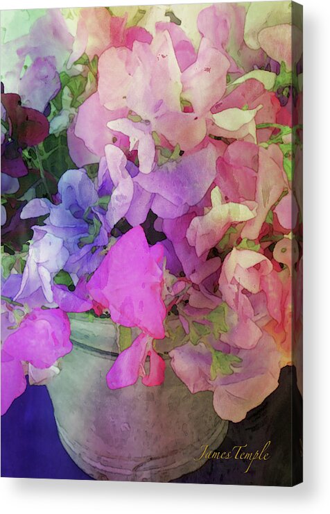 Bucket Of Peas Acrylic Print featuring the digital art Bucket Of Peas Digital Watercolor by James Temple