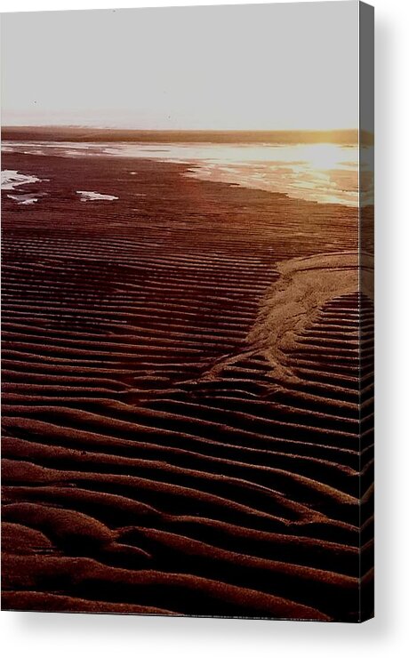 Beach Acrylic Print featuring the photograph Bumpy Beach by Mary Hurst