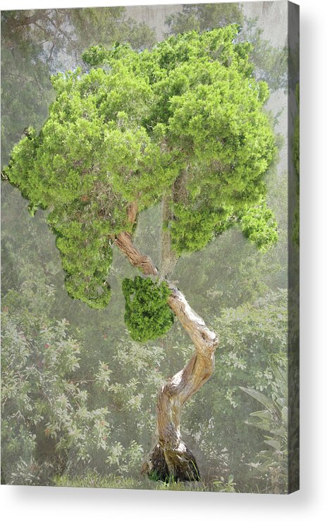 Tree Acrylic Print featuring the photograph Bunny Tree by Rosalie Scanlon