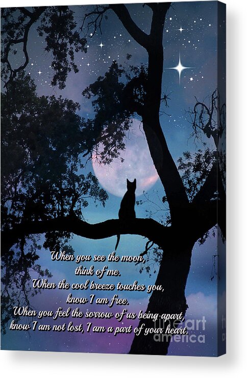 Cat Acrylic Print featuring the photograph Cat Poem and Memorial by Stephanie Laird