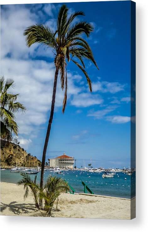 Catalina Acrylic Print featuring the photograph Catalina Casino and Palm Tree by Pamela Newcomb