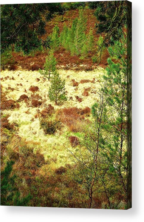 Christmas Acrylic Print featuring the photograph Christmassy by HweeYen Ong