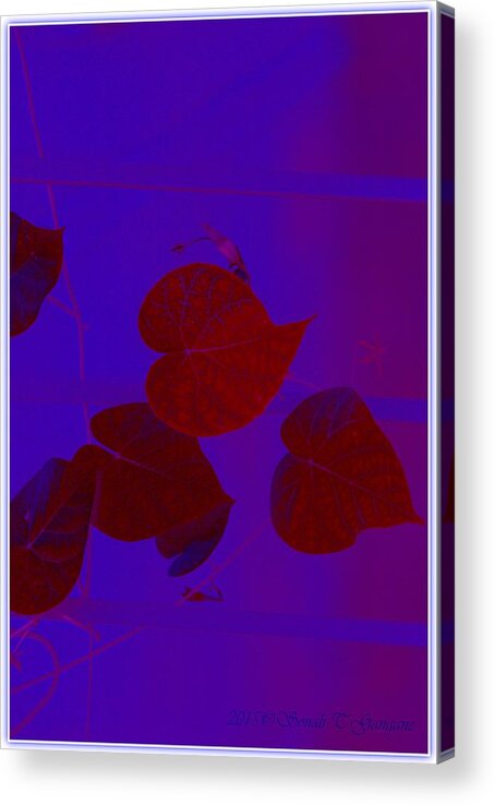 Digital Art Acrylic Print featuring the digital art Coloured Hearts III by Sonali Gangane