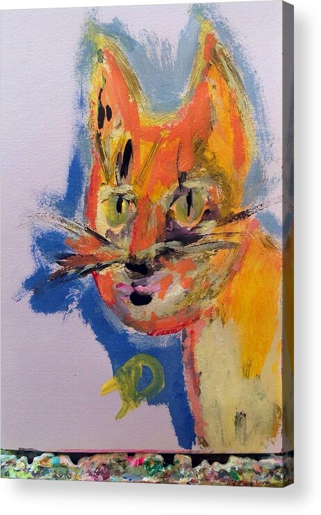 Cat Acrylic Print featuring the painting Colourful character by Judith Desrosiers